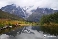 Gallery Alpe Alpine Botanical Garden Lautaret景点图片