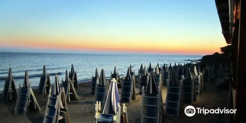 Stabilimento Balneare Aloha