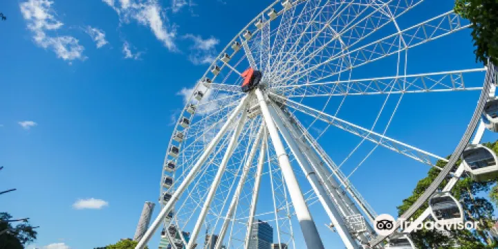布里斯班摩天輪