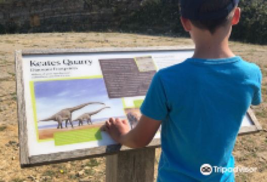 Keates Quarry Dinosaur Footprints景点图片