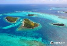 Tobago Cays景点图片