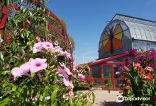 Butterfly Gardens景点图片