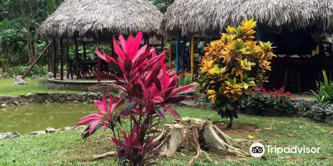 Palenque de los Cimarrones