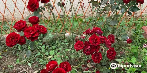 Dulovina Botanical Garden