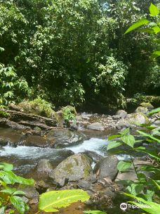 Bosques de Fraijanes-波阿斯