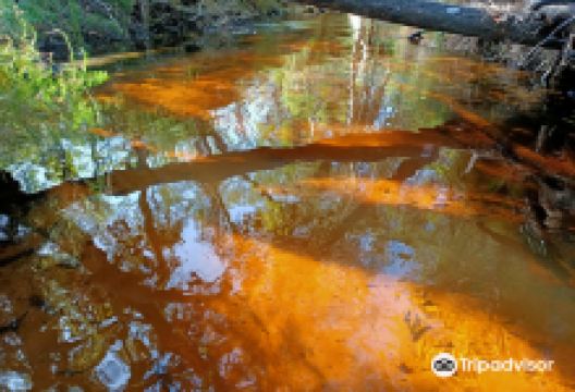 Searys Creek景点图片