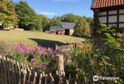 Rheinland-Pfalzisches Freilichtmuseum (open air museum)景点图片