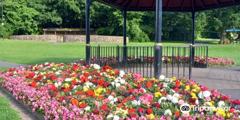Dungannon Park