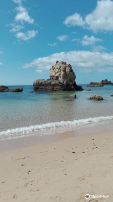 Praia do Alemao-波尔蒂芒