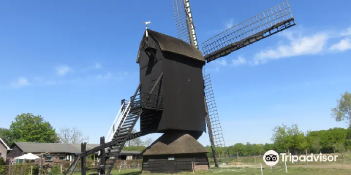 Doesburgermolen