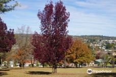 Drummond Apex Lookout-阿米代尔