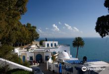 Dar Nejma Ezzahra 宫殿景点图片