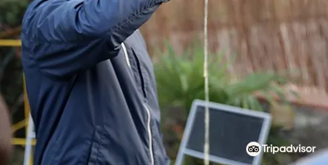 Espai Tonic Centre d'Investigacio Artistica