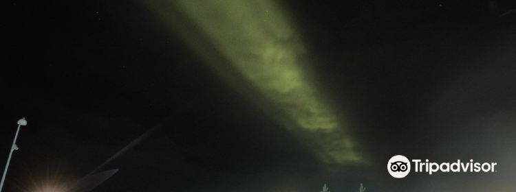 533051844