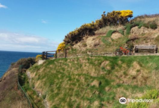 Erin Bike Hut Cycle Hire购物图片