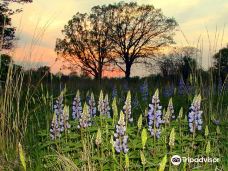 Rouge Park-底特律