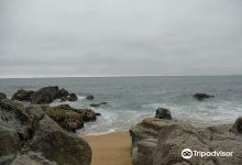 Caleta San Pedro景点图片