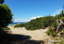 Spiaggia Padula Bianca景点图片