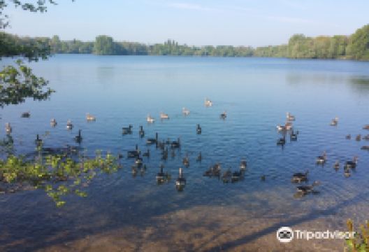 Toeppersee景点图片