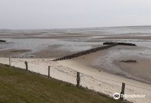 Naturpfad Vogelkoje Kampen景点图片