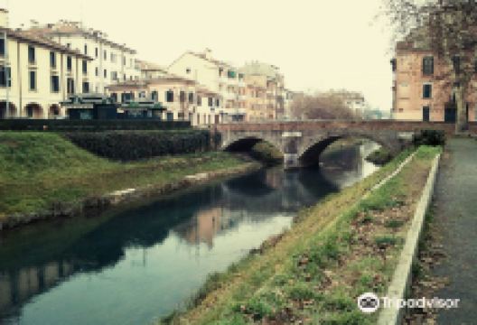 Ponte dei Tadi景点图片
