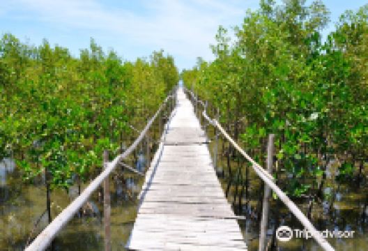 Bakhawan Eco-park and Research Centre景点图片