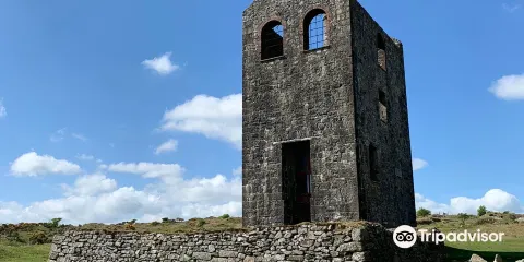 Hurlers Stone Circles