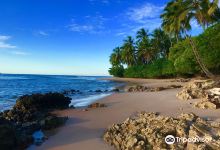 Ponta do Muta Beach景点图片
