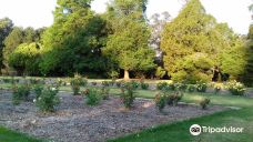 约翰内斯堡植物园-兰德堡