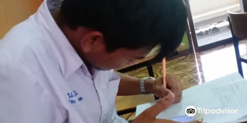 Bamboo Species Garden