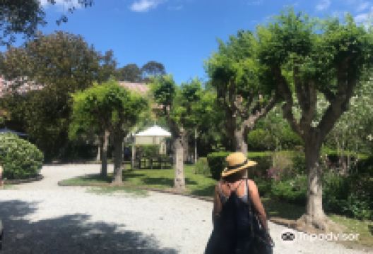 Millton Vineyards & Winery景点图片
