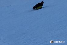 Ecole Ski Academy景点图片