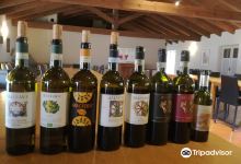 Azienda Agricola Malvirà景点图片