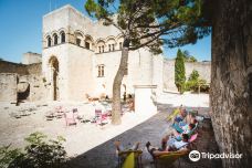 Château de Montélimar-蒙特利马尔