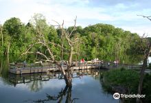 Chester Woods Park景点图片