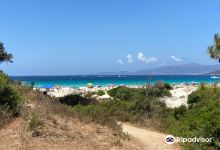 Plage Mare e Sole景点图片
