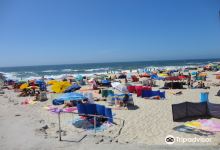 Praia Velha景点图片