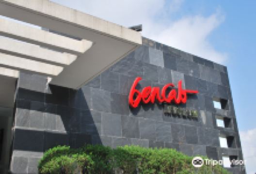 BenCab Museum景点图片
