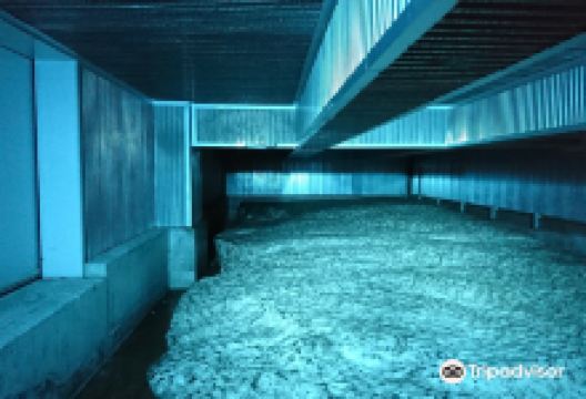 サントリー天然水 奥大山ブナの森工場购物图片