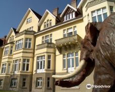 Museum MONREPOS-新维德