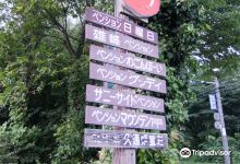 Daisen Pension Village景点图片