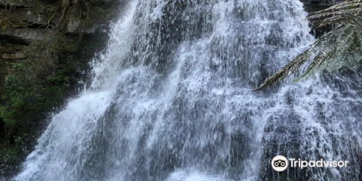 Won Wondah & Henderson Falls