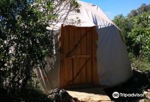 Galleria BaYa'ar景点图片