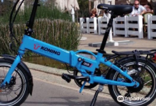 Koning购物图片