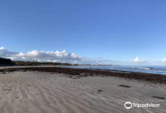 Ballywalter Beach景点图片