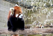Utica Zoo景点图片