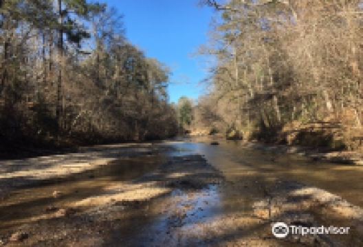 Homochitto National Forest景点图片