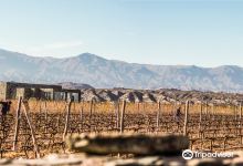 Estancia Los Cardones景点图片