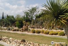 El Sueno Jardin Botanico景点图片