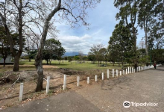 萨瓦纳公园景点图片